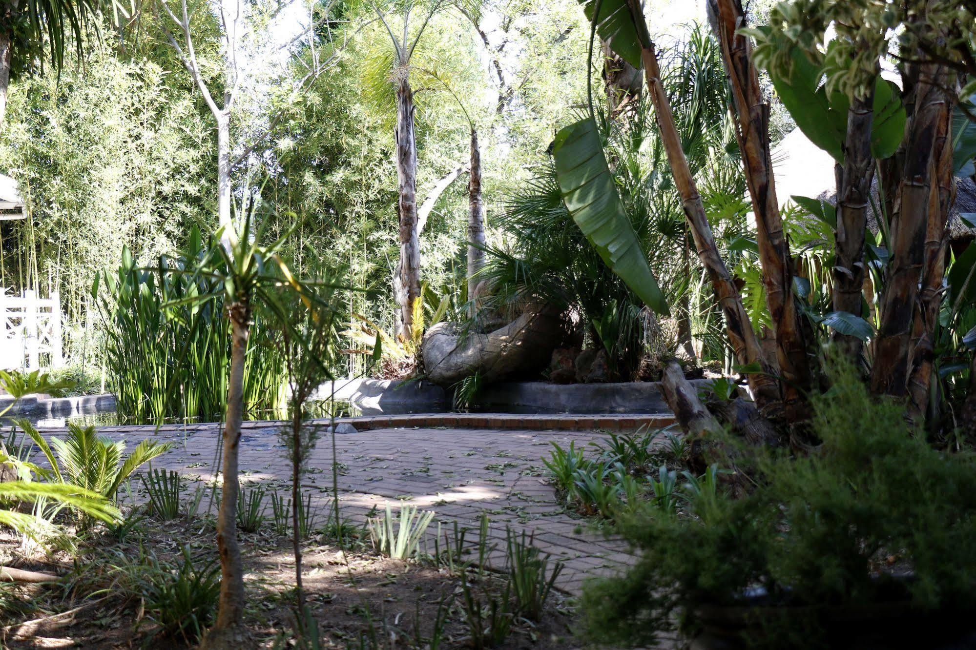 Summerview Guest Lodge Johannesburg Eksteriør billede